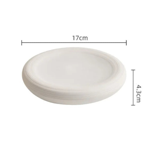 assiette design gastronomique moderne professionnel haut de gamme