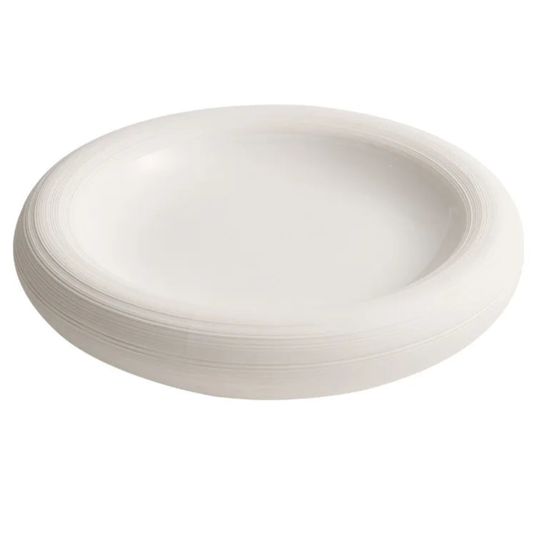 assiette design gastronomique moderne professionnel haut de gamme