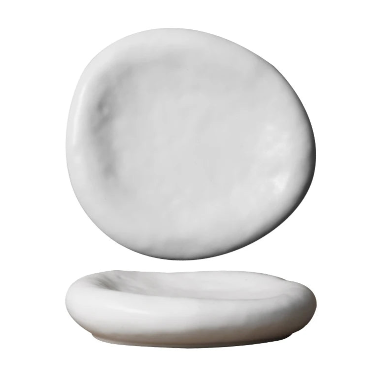 assiette design gastronomique haut de gamme professionnel vaisselle moderne