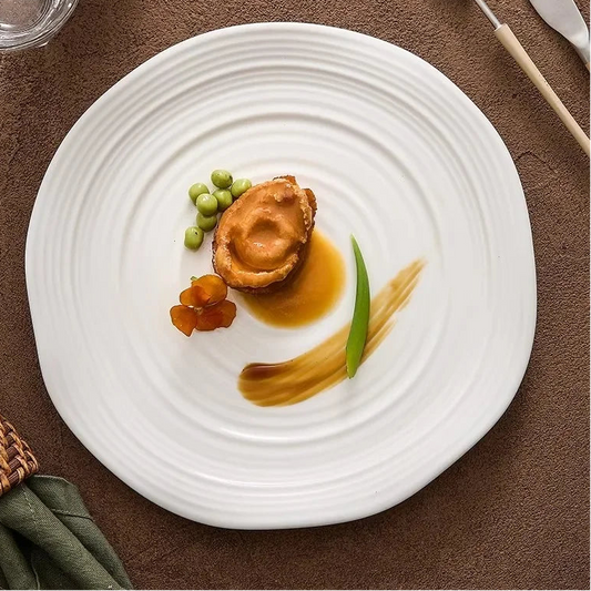 assiette design gastronomique haut de gamme professionnel vaisselle moderne
