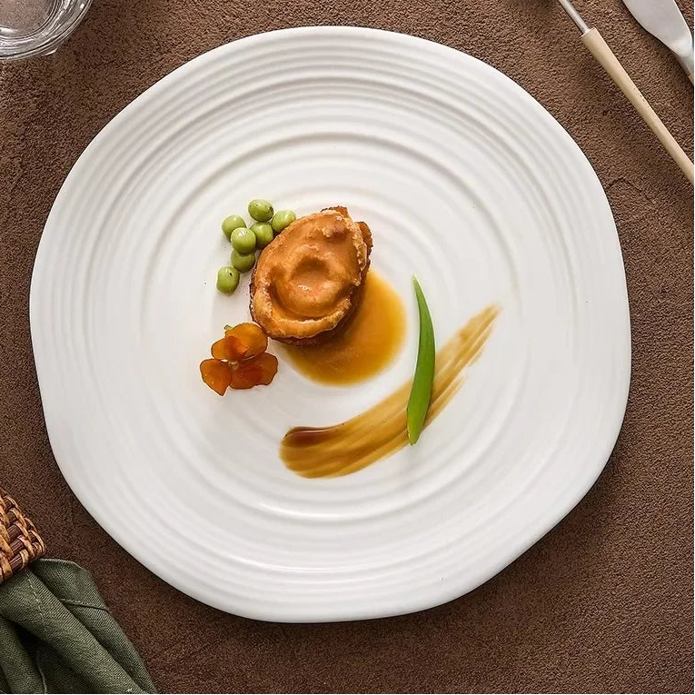 assiette design gastronomique haut de gamme professionnel vaisselle moderne